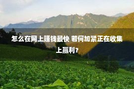 怎么在网上赚钱最快 若何加紧正在收集上赢利？