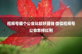 视频号哪个公会比较好赚钱 微信视频号公会怎样红利