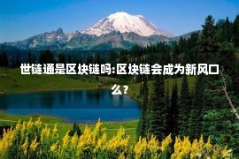 世链通是区块链吗:区块链会成为新风口么？