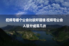 视频号哪个公会比较好赚钱 视频号公会入驻分成是几许