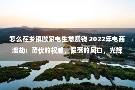 怎么在乡镇做家电生意赚钱 2022年电商渡劫：蛰伏的权威，陨落的风口，光辉的他日