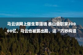 马云谈网上做生意赚钱 泰山会职掌20000亿，马云也被踢出局，这“巧妙构造”甚么来头？