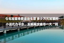 今年加盟免费赚钱生意 多少万元加盟的小说代办平台，支解网文墟市一大“利器”？