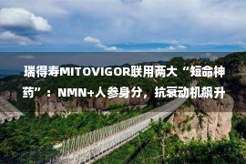  瑞得寿MITOVIGOR联用两大“短命神药”：NMN+人参身分，抗衰动机飙升4倍！