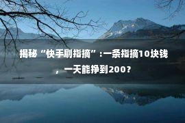  揭秘“快手刷指摘”:一条指摘10块钱，一天能挣到200？