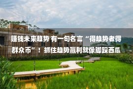 赚钱未来趋势 有一句名言“得趋势者得群众币”！抓住趋势赢利就像脚踩西瓜皮