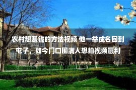 农村想赚钱的方法视频 他一举成名回到屯子，如今门口围满人想拍视频赢利