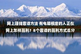 网上赚钱靠谱方法 有电脑根底的人正在网上怎样赢利？8个靠谱的赢利方式瓜分给专家