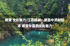 感受 文化魅力:江西樟树：展陈中药材标本 感受中医药文化魅力