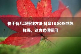 快手有几项赚钱方法 抖音1000粉丝怎样弄，这方式很管用