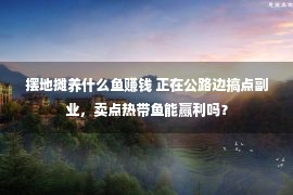 摆地摊养什么鱼赚钱 正在公路边搞点副业，卖点热带鱼能赢利吗？