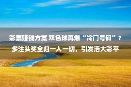 彩票赚钱方案 双色球再爆“冷门号码”？多注头奖全归一人一切，引发浩大彩平易近置疑