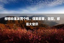  柑桔幼果发育个性、保果膨果、防裂，都是大常识