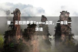  我，正在拼多多Temu卖货，一单赚一块钱