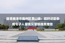  陕西商洛市商州区黑山镇：秸秆还田助推屯子人居境况整顿提质增效