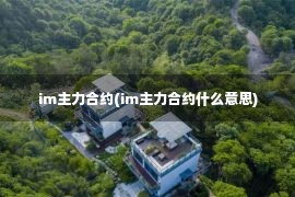 im主力合约(im主力合约什么意思)