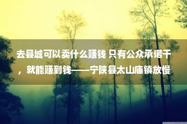 去县城可以卖什么赚钱 只有公众承诺干，就能赚到钱——宁陕县太山庙镇放慢家产繁华纪实