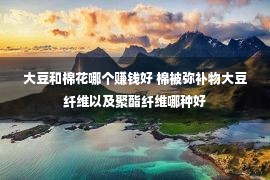 大豆和棉花哪个赚钱好 棉被弥补物大豆纤维以及聚酯纤维哪种好