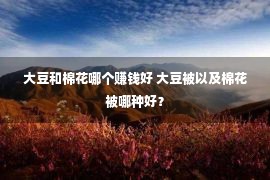 大豆和棉花哪个赚钱好 大豆被以及棉花被哪种好？