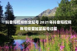 抖音短视频创业起号 2021年抖音短视频账号经营加紧起号过程