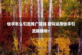 快手怎么引流推广赚钱 若何运用快手引流精确粉？