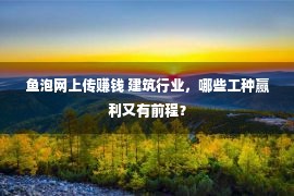 鱼泡网上传赚钱 建筑行业，哪些工种赢利又有前程？