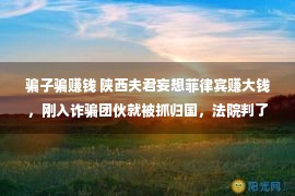 骗子骗赚钱 陕西夫君妄想菲律宾赚大钱，刚入诈骗团伙就被抓归国，法院判了