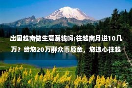 出国越南做生意赚钱吗:往越南月进10几万？给您20万群众币原金，您违心往越南闯荡1番吗