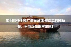 如何用快手推广商品赚钱 被淡忘的唯品会，不断正在闷声发家？