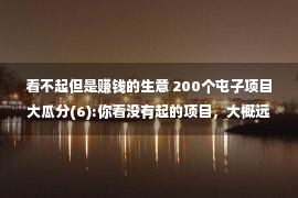 看不起但是赚钱的生意 200个屯子项目大瓜分(6):你看没有起的项目，大概远比你赚很多！