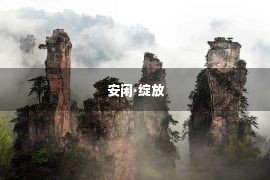  安闲·绽放