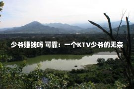 少爷赚钱吗 可靠：一个KTV少爷的无奈