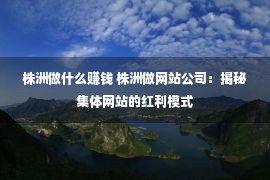 株洲做什么赚钱 株洲做网站公司：揭秘集体网站的红利模式