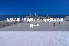  破壁机是「智商税」么？你大概真的须要一台