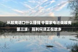 从越南进口什么赚钱 中国家电迁徙越南第三波：赢利何须正在故乡