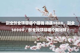 副业创业项目哪个赚钱 待遇3000，副业50000，创业找项目哪个网站好？