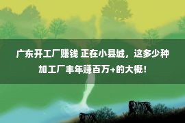 广东开工厂赚钱 正在小县城，这多少种加工厂丰年赚百万+的大概！