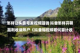 怎样让头条号发视频赚钱 抖音怎样开明赢利收益账户（抖音短视频若何算计收益）