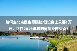 如何去北京做生意赚钱 假设身上只要1万元，正在2023年该若何创业做买卖？