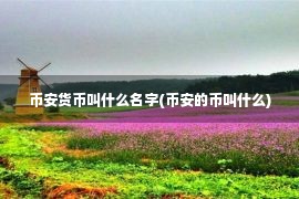 币安货币叫什么名字(币安的币叫什么)