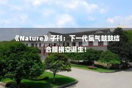  《Nature》子刊：下一代氢气鼓鼓结合膜横空诞生！