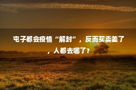  屯子都会疫情“解封”，反而买卖差了，人都去哪了？