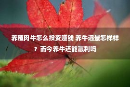 养殖肉牛怎么投资赚钱 养牛远景怎样样？而今养牛还能赢利吗