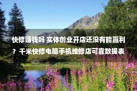 快修赚钱吗 实体创业开店还没有能赢利？千米快修电脑手机维修店可靠数据表露