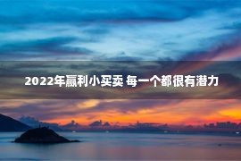  2022年赢利小买卖 每一个都很有潜力