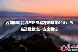  云南咖啡栽培户赵宏宾冲刺京东618：电商动员栽培户支出翻倍