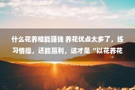 什么花养殖能赚钱 养花优点太多了，练习情操，还能赢利，这才是“以花养花”