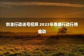 创业行动送号视频 2023年春盛行动行将煽动