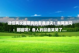  迷信再次阐明狗狗智商逆天！有网友问：那猫呢？各人的回覆笑哭了…