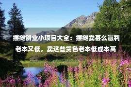  摆摊创业小项目大全：摆摊卖甚么赢利老本又低，卖这些货色老本低成本高